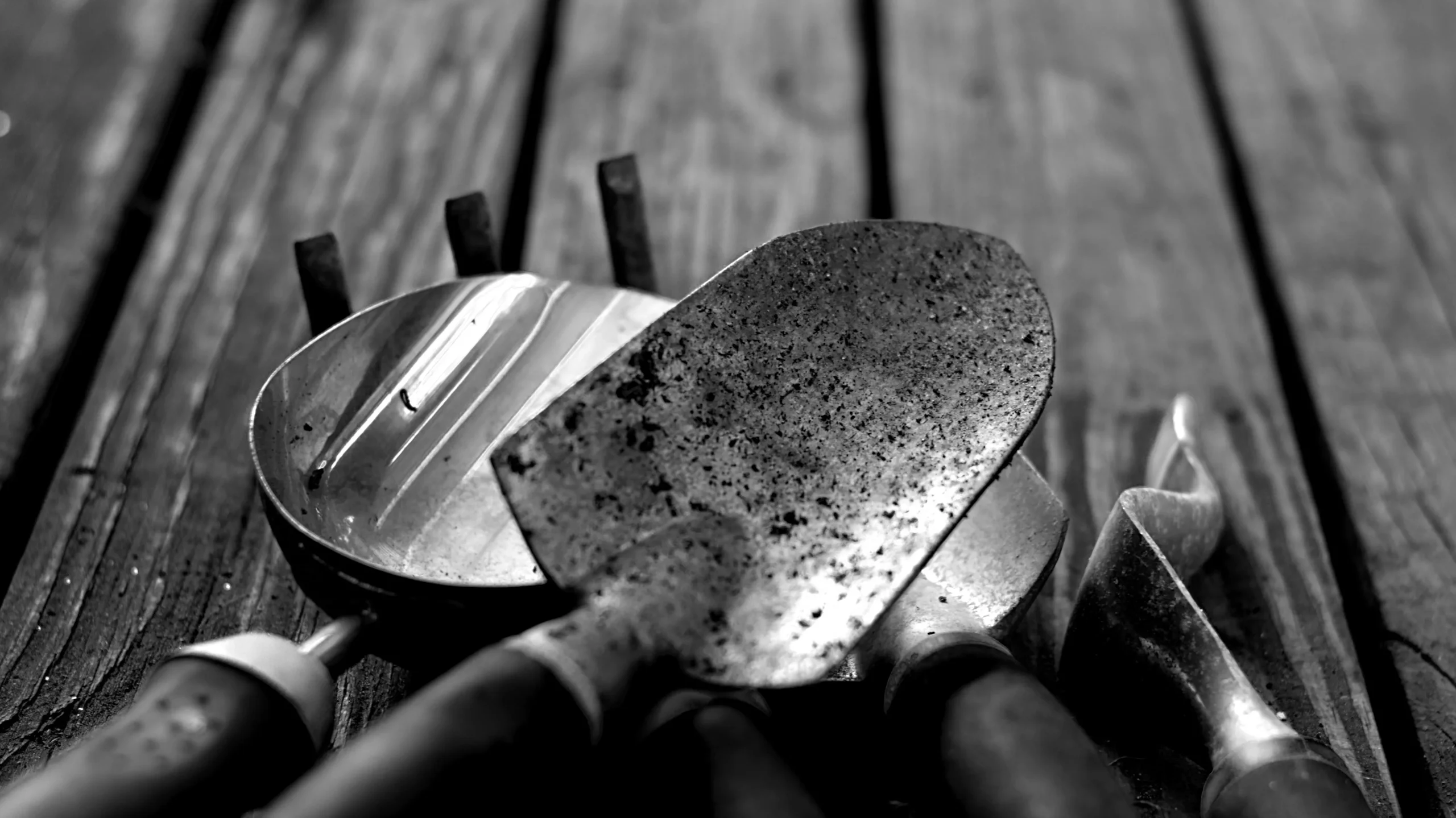 https://unsplash.com/photos/greyscale-photo-of-gardening-tools-hYbWJvCHVRo