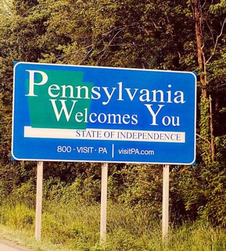 Discovering Orange Mushrooms in Pennsylvania: A Fungi Forager’s Guide
